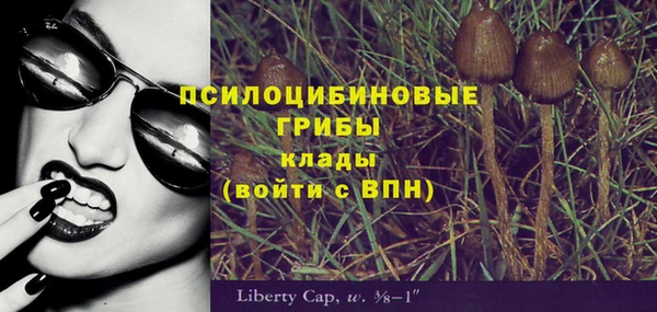 мяу мяу кристалл Лихославль