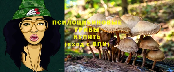 мяу мяу кристалл Лихославль